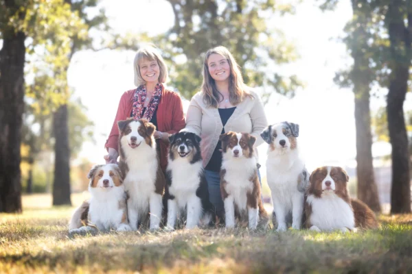 australian shepherd puppies for sale