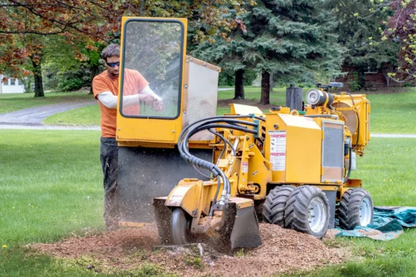 stump grinder