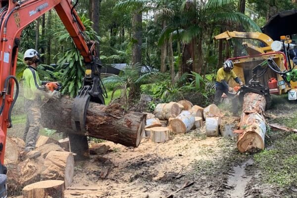 stump removal sunshine coast