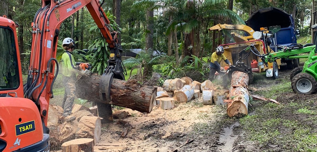 stump removal sunshine coast