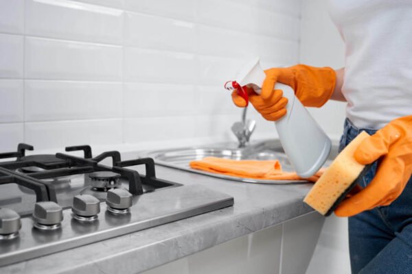 House Cleaning Tampa Services for a Spotless and Healthy Home